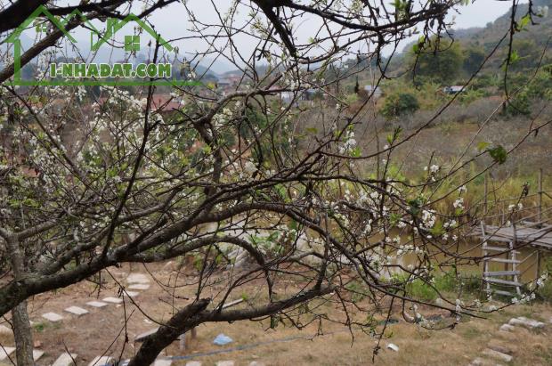 Bán Đất View Đẹp Tại Khu Du Lịch Cộng Đồng Tổ Vặt Hồng, P. Mường Sang, TX Mộc Châu - 2