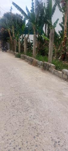 Bán lô đất mtien Mậu 7 xã Diên Phú . DTICH 123,6m2 , 60 thổ . Giá 1 tỉ 190 triệu - 2