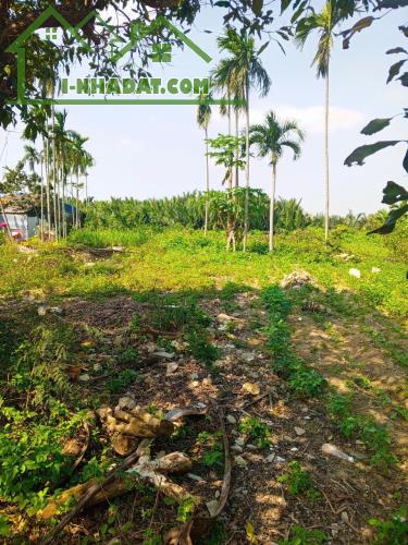 Chủ kẹt tiền cần bán lô đất tại MT đường DX 017 có 1000 m² đất ở., Cẩm Thanh giá 18 tỷ