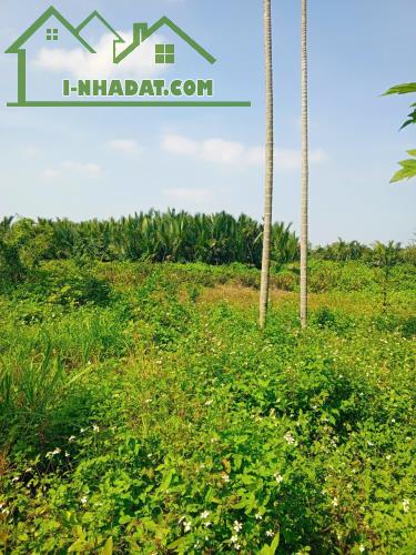Chủ kẹt tiền cần bán lô đất tại MT đường DX 017 có 1000 m² đất ở., Cẩm Thanh giá 18 tỷ - 2
