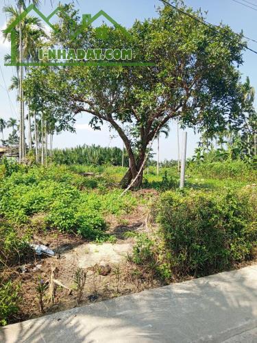 Chủ kẹt tiền cần bán lô đất tại MT đường DX 017 có 1000 m² đất ở., Cẩm Thanh giá 18 tỷ - 3