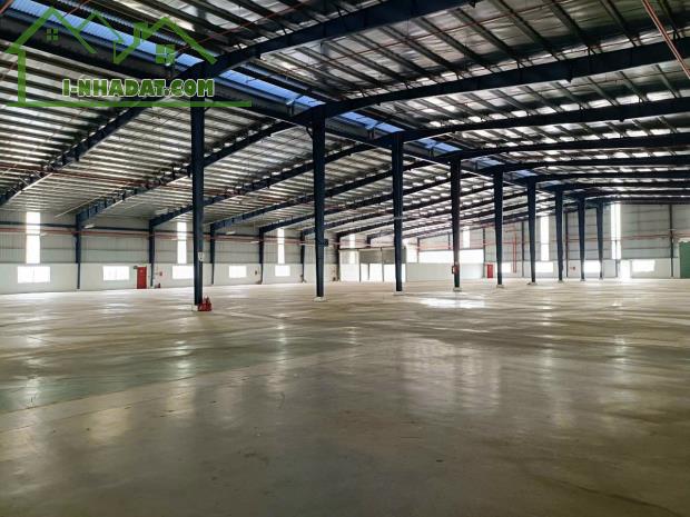 Cho thuê 4500m2 xưởng mới 100% Tân Uyên, PCCC tự động, đường công, giấy tờ đầy đủ - 3