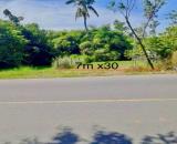 MT HL2 Ngang 7m Dài 30m 100m2 thổ cư An Tịnh - Trảng Bàng Giá chỉ 680tr