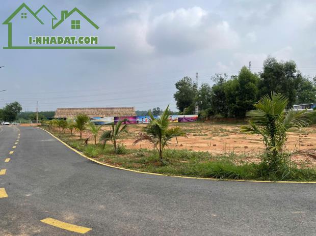 Mua, Bán Đất Tân Định, Bến Cát, Giáp Thủ Dầu 1 - 3