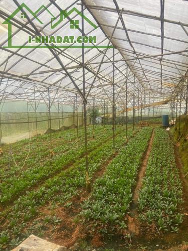 ĐẤT ĐẸP – GIÁ  TỐT - CẦN BÁN  LÔ Đất Đường Cam Ly, Phường 5, TP Đà Lạt, Lâm Đồng.