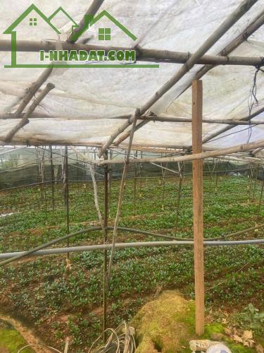 ĐẤT ĐẸP – GIÁ  TỐT - CẦN BÁN  LÔ Đất Đường Cam Ly, Phường 5, TP Đà Lạt, Lâm Đồng. - 2