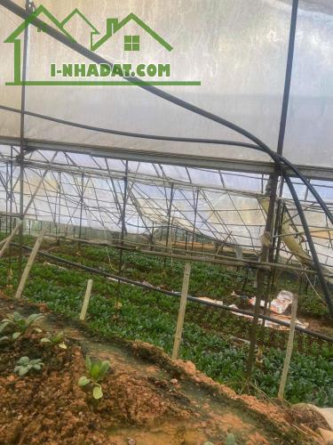 ĐẤT ĐẸP – GIÁ  TỐT - CẦN BÁN  LÔ Đất Đường Cam Ly, Phường 5, TP Đà Lạt, Lâm Đồng. - 4