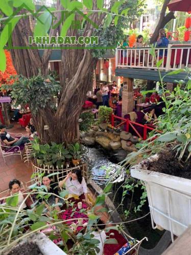Bán quán cafe sân vườn 661m2 , Mặt Tiền Nguyễn Ảnh Thủ , TP HCM , Giảm 21 tỷ - 1