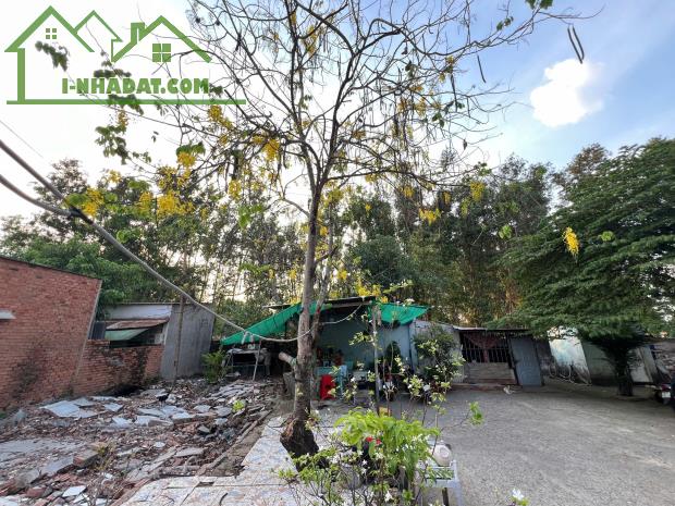 Cho thuê vườn trung tâm Biên Hòa DT1300m2, gần Vincom Phạm Văn Thuận
