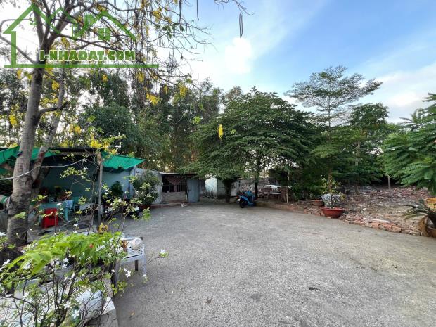 Cho thuê vườn trung tâm Biên Hòa DT1300m2, gần Vincom Phạm Văn Thuận - 2