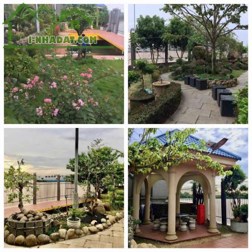 HOT HOT- SIÊU PHẨM BĐS NGHỈ DƯỠNG Hơn 1000m2 View Bờ Sông Tại Bình Hòa, Vĩnh Cửu, Đồng Nai - 3