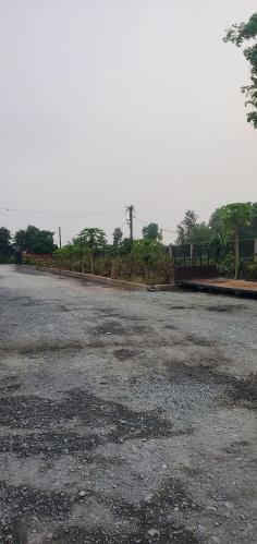 Bán Kho xưởng 17.600m2,  Bà Điểm - Bình Chánh, giá chỉ 84 tỷ - Sổ hồng - 1