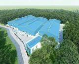 Cho thuê hoặc bán xưởng Vĩnh Tân Tân Uyên Bình Dương.TDT 14.000m2. Giá thuê 2.5usd. Bán