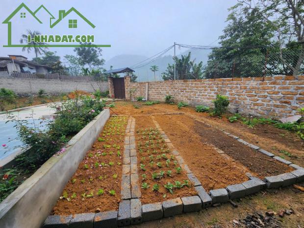 Bán đất tặng khuôn viên nhà vườn mới tinh 700M có 400M đất ở_Cao Dương Lương Sơn HB_2,x tỷ - 3