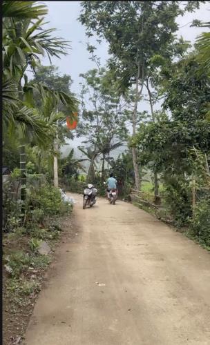 Bán đất tặng khuôn viên nhà vườn mới tinh 700M có 400M đất ở_Cao Dương Lương Sơn HB_2,x tỷ - 4