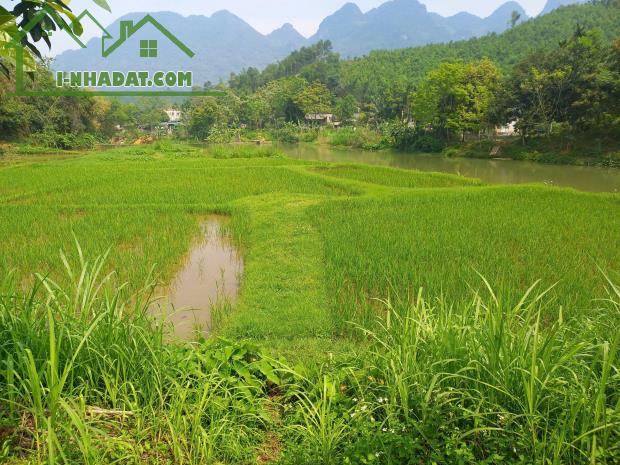 CHÍNH CHỦ EM CẦN BÁN LÔ ĐẤT ĐẸP - GIÁ TỐT - Vị Trí Đắc Địa Tại Kim Bôi, Hoà Bình - 3