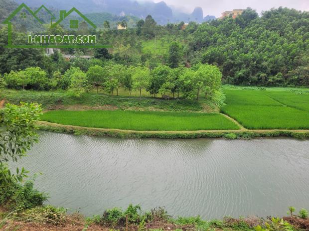 CHÍNH CHỦ EM CẦN BÁN LÔ ĐẤT ĐẸP - GIÁ TỐT - Vị Trí Đắc Địa Tại Kim Bôi, Hoà Bình - 2