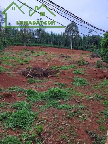 Lô đất 1974m² tại Kim Long, Châu Đức – pháp lý rõ ràng,  100m² thổ cư, giá siêu mềm