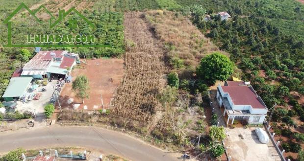 Bán đất mặt tiền Trần Phú thị trấn Di Linh – 2.206m²