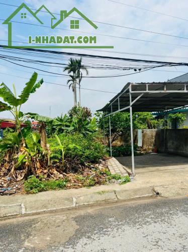 Bán đất Minh Đức - Đồ Sơn - Hải Phòng - 3