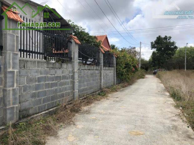 Cần bán Thị trấn Phước Hải  1000m2🌈🌈🌈 - 3