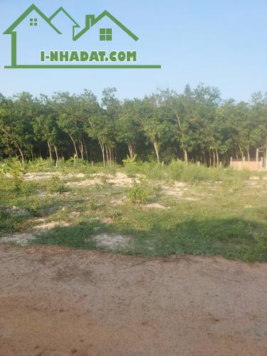 MẶT TIỀN KHU PHÂN LÔ ĐƯỜNG 1 SẸC --786 TÂY NINH --199M2--CÓ 50 THỔ CƯ - 2