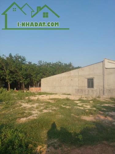 MẶT TIỀN KHU PHÂN LÔ ĐƯỜNG 1 SẸC --786 TÂY NINH --199M2--CÓ 50 THỔ CƯ - 4