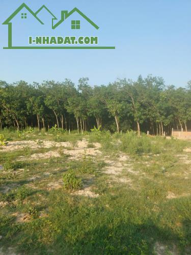 MẶT TIỀN KHU PHÂN LÔ ĐƯỜNG 1 SẸC --786 TÂY NINH --199M2--CÓ 50 THỔ CƯ - 5