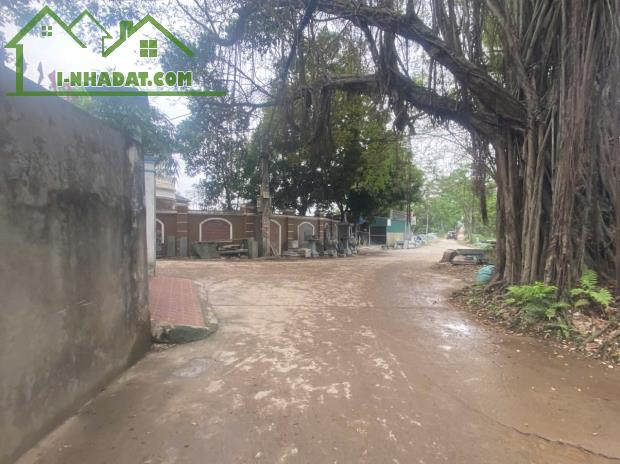 CHÍNH CHỦ BÁN LÔ ĐẤT 60M TẠI PHỤNG CHÂU-CHƯƠNG MỸ-HÀ NỘI - 3