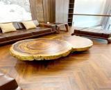 Siêu hiếm siêu  đẹp, VIp  nhất  Cửa Bắc lô góc 120m  nhỉnh  30 tỷ