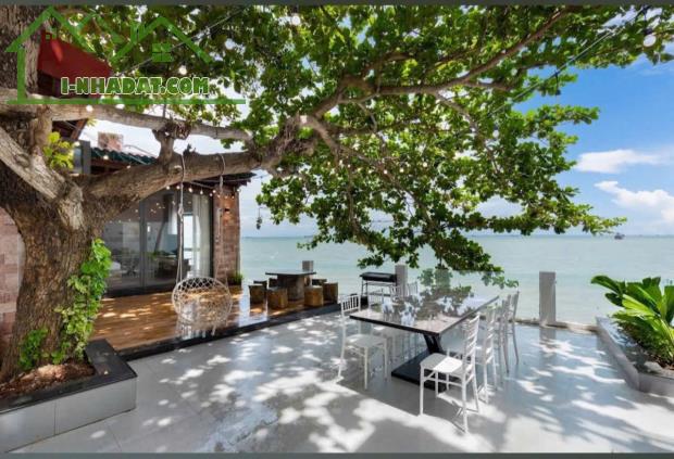 🌅 Biệt Thự Sát Biển Đường Trần Phú, Vũng Tàu – Đầu Tư Sinh Lời Hấp Dẫn