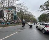MẶT PHỐ TRẦN ĐĂNG NINH CẦU GIẤY, VỊ TRÍ ĐẸP VỈA HÈ RỘNG KINH DOANH, DT 50M2, 4 TẦNG, 29 TỶ