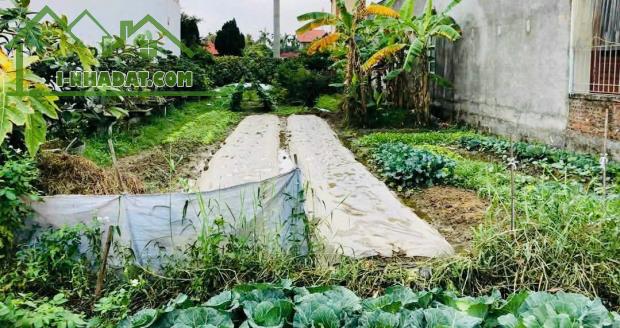 ❌❌❌ BÁN LÔ ĐẤT ĐẸP TẠI ĐẠI TRÀ – ĐÔNG PHƯƠNG – KIẾN THỤY. 💰Giá 13Triệu/m2 Giá Rẻ Giật Mìn - 2