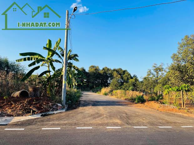 BÁN ĐẤT SÀO SẴN THỔ CƯ 1.323M2 100 THỔ CƯ TRUNG TÂM THỊ XÃ 200TR - 3