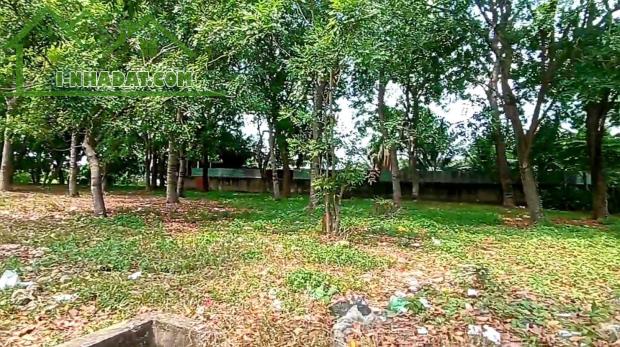 Bán lô đất 5010m2 KCN Vĩnh Lộc- Bình Hưng Hòa A - Bình Tân giá chỉ 30 tỷ