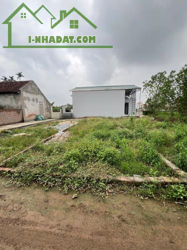 Bán đất Chương Dương - Thường Tín, 66m ô tô vào tận nơi chỉ 3x tr/m2