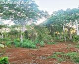 CƠ HỘI ĐẦU TƯ – 1.3HA GIÁ CHỈ 650 TRIỆU/SÀO! CUÔR ĐĂNG GIÁP HÒA THUẬN-BUÔN MATHUỘT -