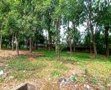 Bán lô đất 5010m2 KCN Vĩnh Lộc- Bình Hưng Hòa A - Bình Tân giá chỉ 30 tỷ