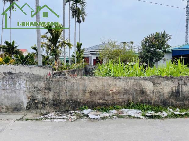 Bán đất Đại Đồng - Kiến Thụy - Hải Phòng - 3