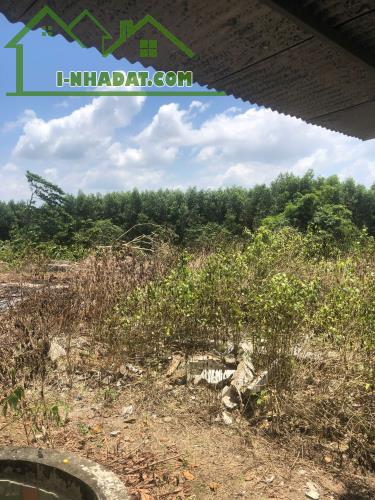 Cần Bán 9898m2 Đất Chính Chủ Tại Ấp 3, xã Phước Bình, Huyện Long Thành, Đồng Nai, Giá Chỉ