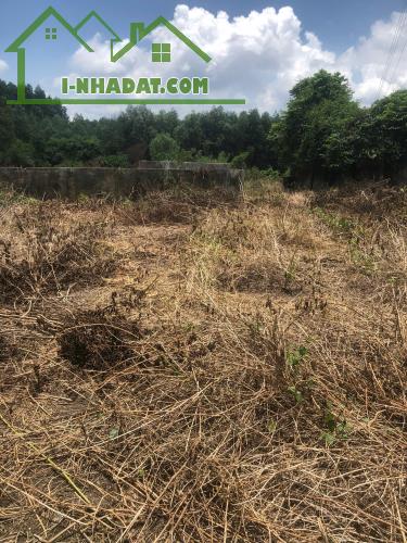 Cần Bán 9898m2 Đất Chính Chủ Tại Ấp 3, xã Phước Bình, Huyện Long Thành, Đồng Nai, Giá Chỉ - 1
