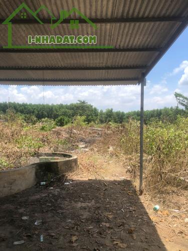 Cần Bán 9898m2 Đất Chính Chủ Tại Ấp 3, xã Phước Bình, Huyện Long Thành, Đồng Nai, Giá Chỉ - 2