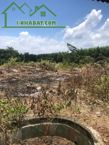 Cần Bán 9898m2 Đất Chính Chủ Tại Ấp 3, xã Phước Bình, Huyện Long Thành, Đồng Nai, Giá Chỉ - 3