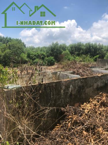Cần Bán 9898m2 Đất Chính Chủ Tại Ấp 3, xã Phước Bình, Huyện Long Thành, Đồng Nai, Giá Chỉ - 4