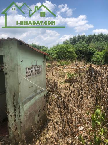 Cần Bán 9898m2 Đất Chính Chủ Tại Ấp 3, xã Phước Bình, Huyện Long Thành, Đồng Nai, Giá Chỉ - 5