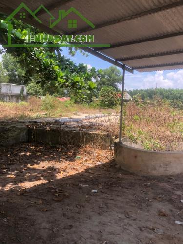 Cần Bán 9898m2 Đất Chính Chủ Tại Ấp 3, xã Phước Bình, Huyện Long Thành, Đồng Nai, Giá Chỉ - 6