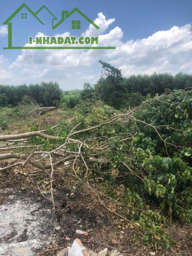 Cần Bán 9898m2 Đất Chính Chủ Tại Ấp 3, xã Phước Bình, Huyện Long Thành, Đồng Nai, Giá Chỉ - 7