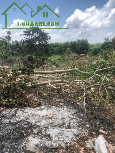 Cần Bán 9898m2 Đất Chính Chủ Tại Ấp 3, xã Phước Bình, Huyện Long Thành, Đồng Nai, Giá Chỉ - 8