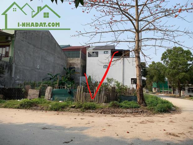 Bán lô Góc 166m2 khu F, dự án Danatol Cửa Tiền, P. Vinh Tân, TP Vinh - 1