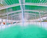 Cho thuê xưởng 5000m2 trong KCN Tam Phước, Biên Hòa, giá thuê 337tr/tháng.